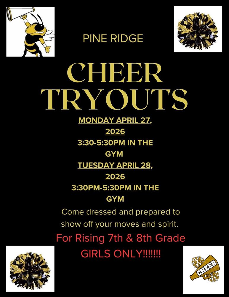 Cheer Tryout flyer