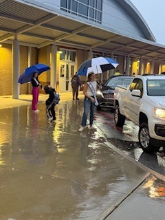 princesses car rider line springdale