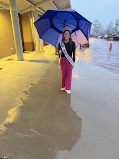 Miss Aquila Springdale