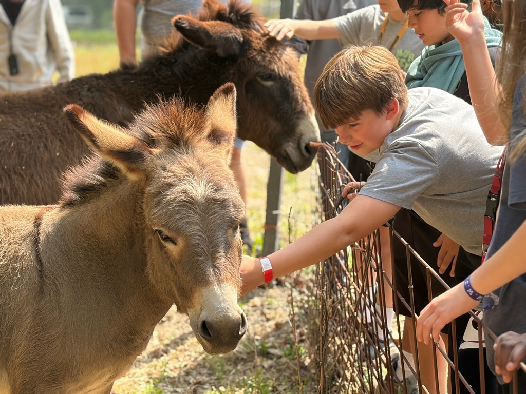 A male student leans over a fense and pets a donkey's face.
