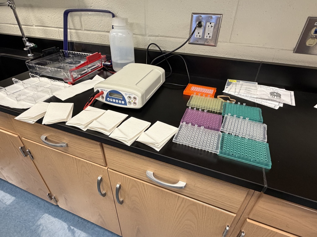 Lab supplies are shown laid out on a back counter in the science lab.