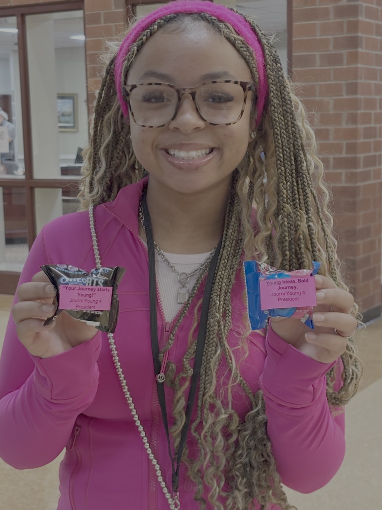 Student Council Campaign