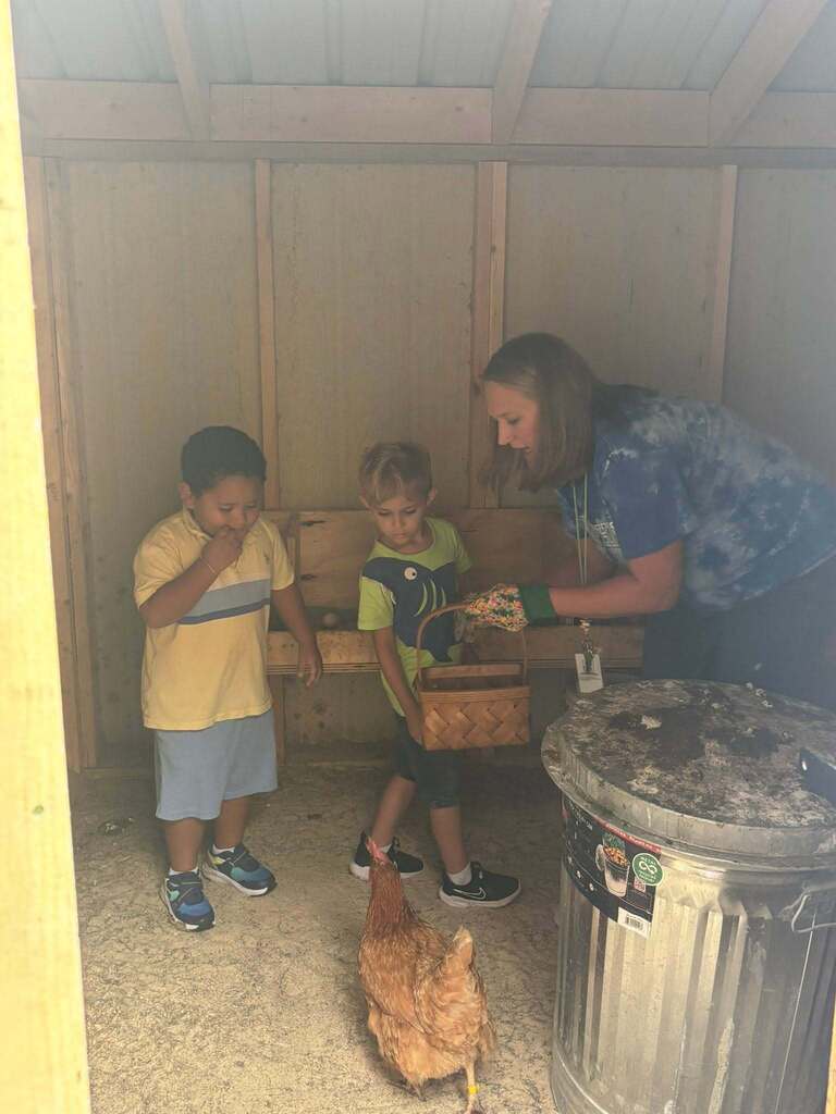 children collecting eggs