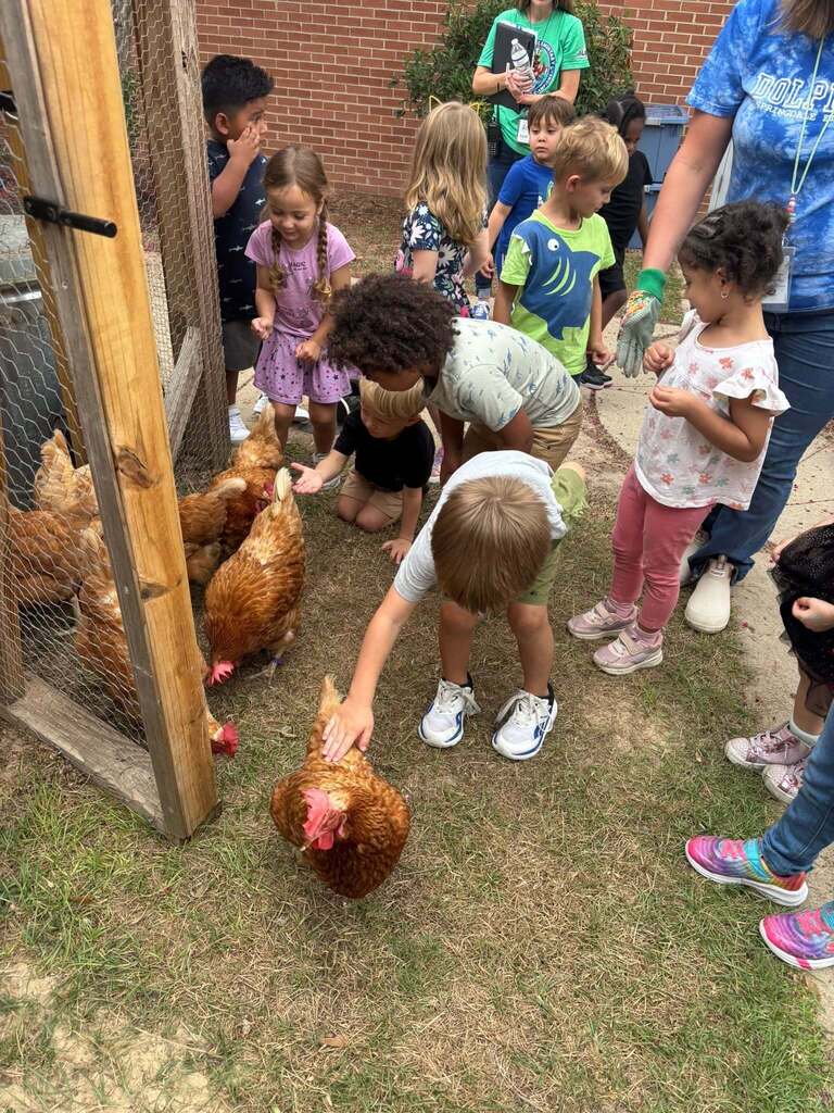 children petting chicken