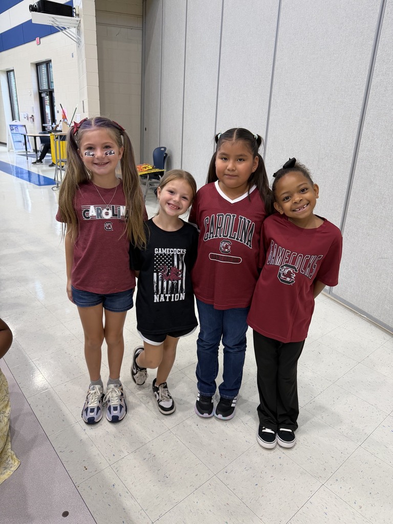 College Colors Day