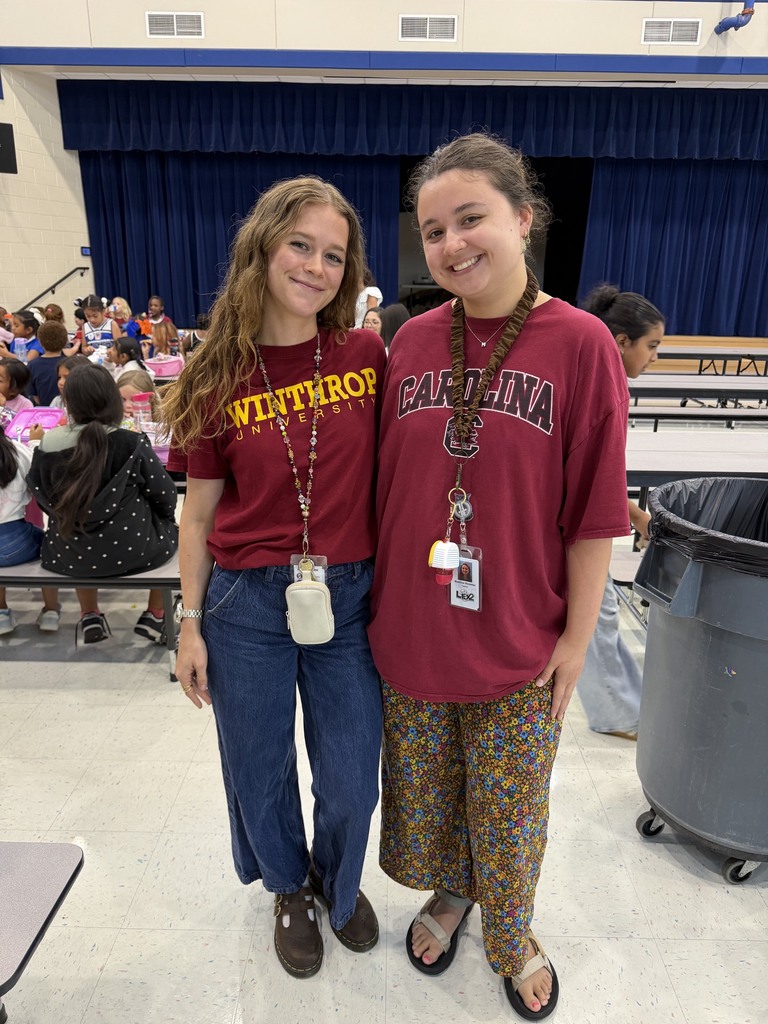 College Colors Day