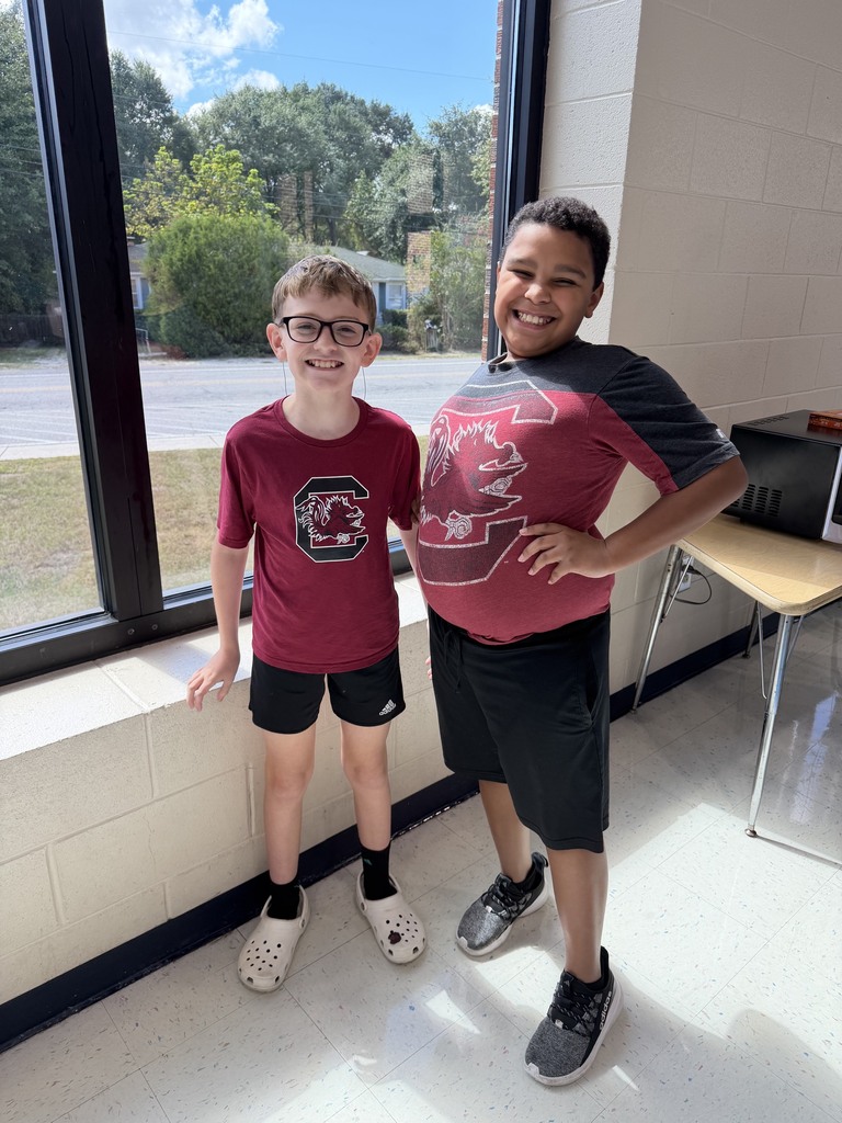 College Colors Day