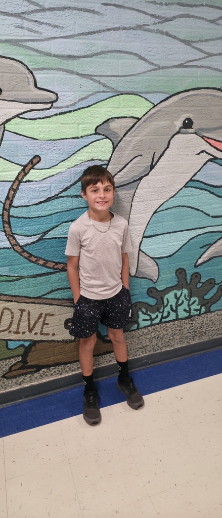 Dolphin of the week student.