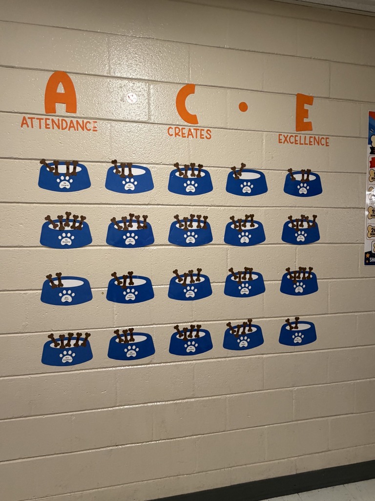 Ace