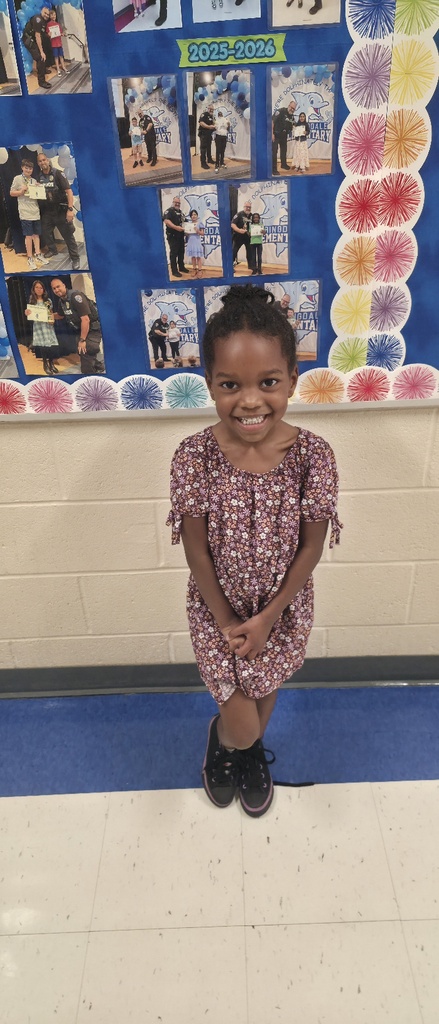 Dolphin of the week student.