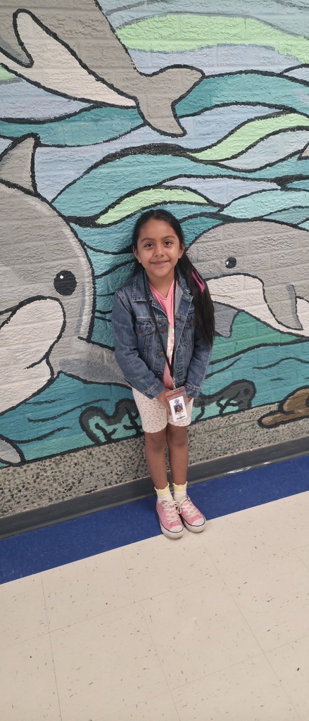 Dolphin of the week student.