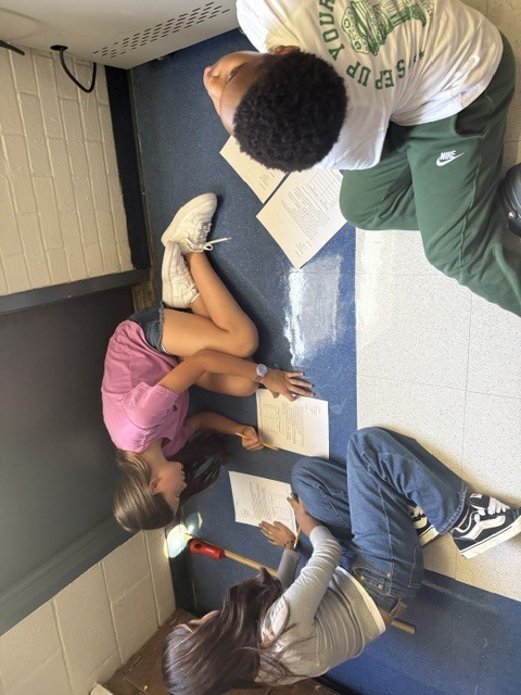 5th - Ms. Chasteen