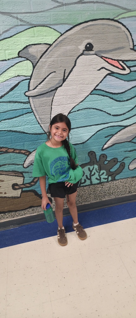 Dolphin of the week student.