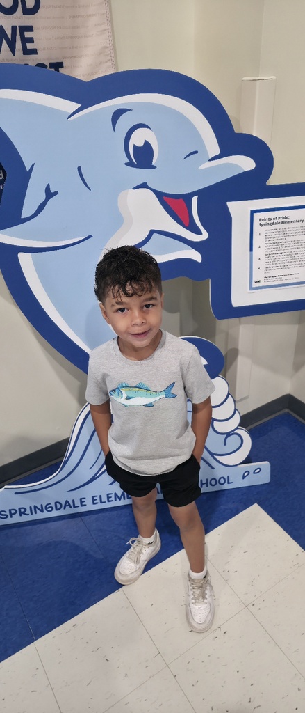 Dolphin of the week student.