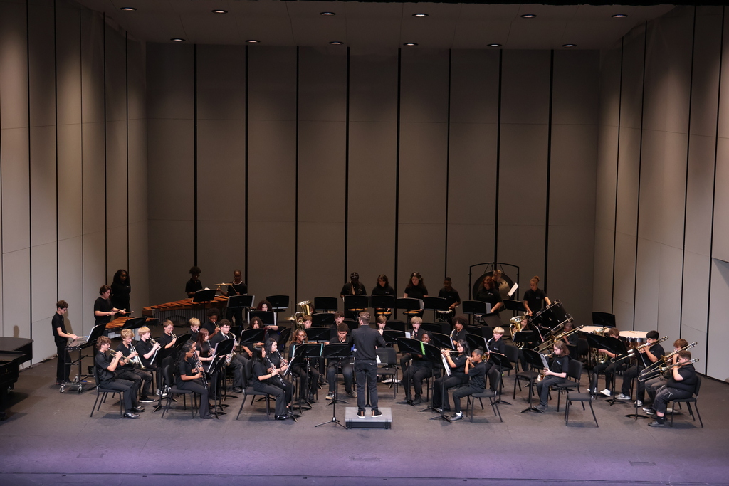 The band studetns and band director are performing on stage. The band director is shown standing in the front middle of the stage.