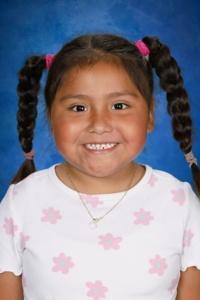 Dolphin of the week student.