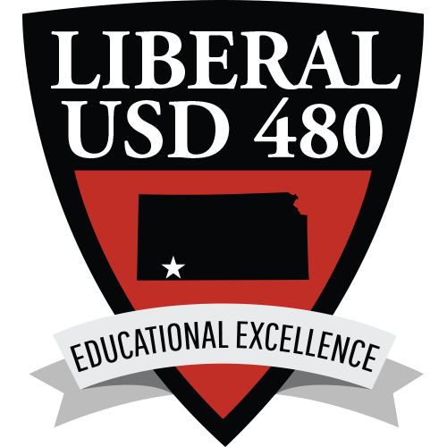 USD 480