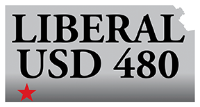 USD 480