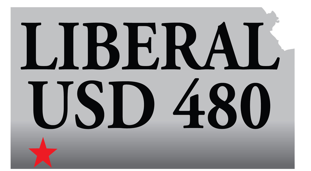 USD 480