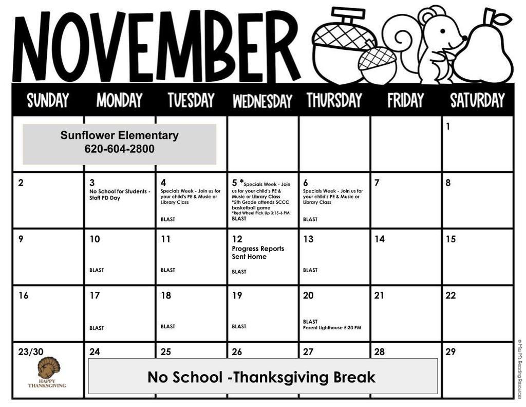 Sunflower - November