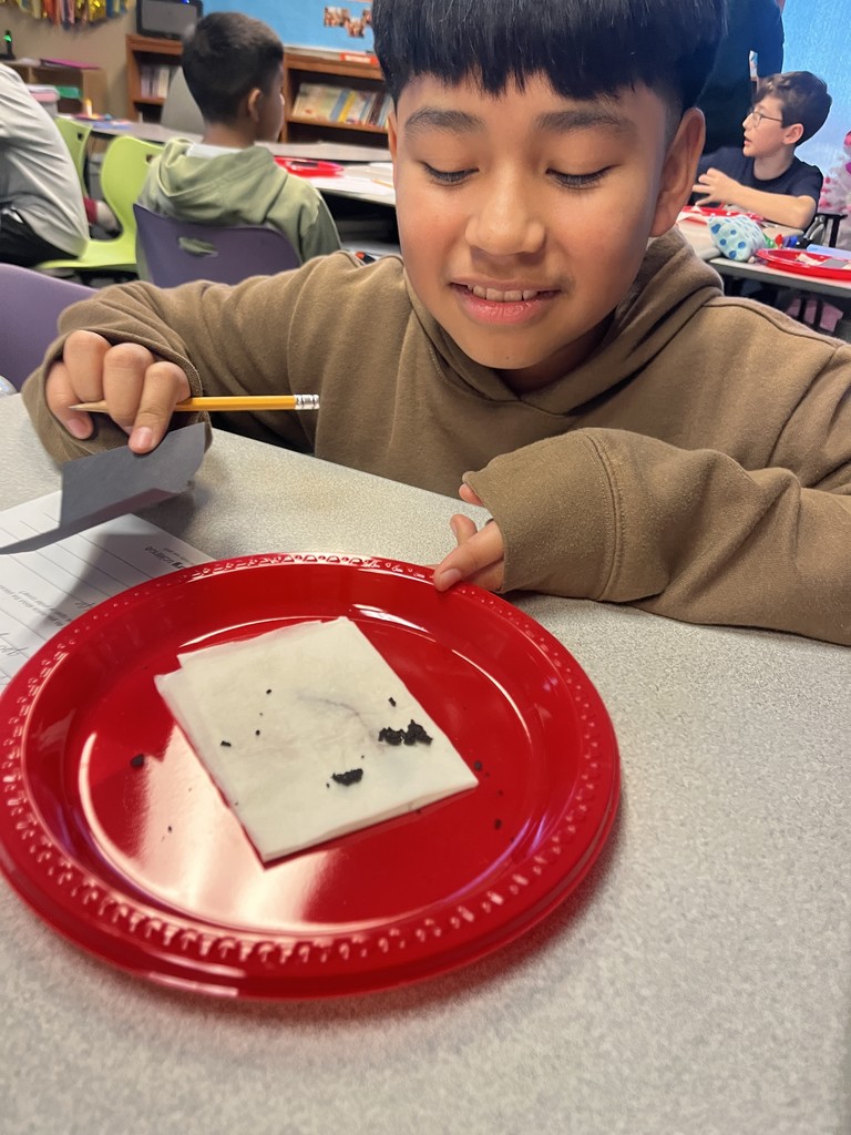 Miss Padilla's Class