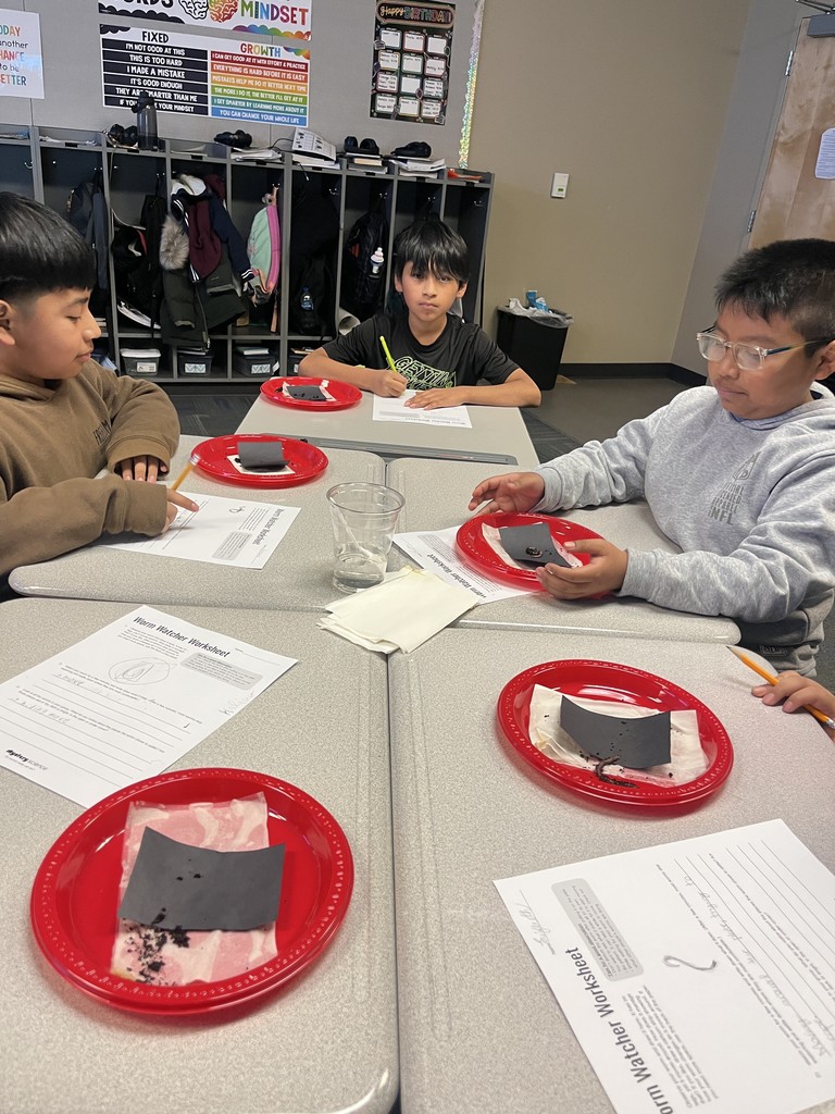 Miss Padilla's Class