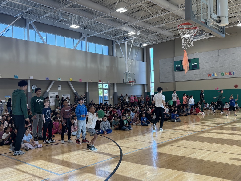 Meadowlark Assembly