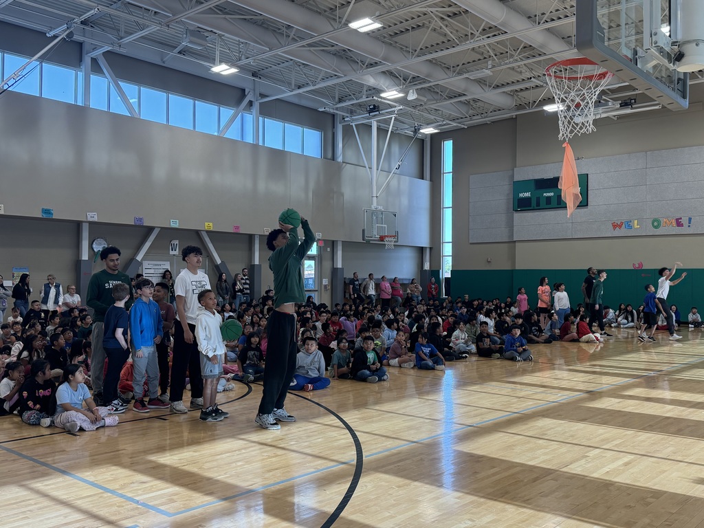 Meadowlark Assembly