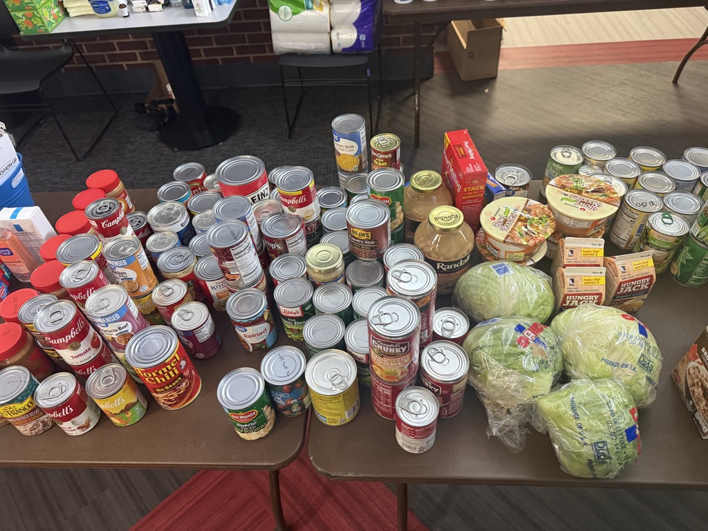 Canned food goods available for families in need.