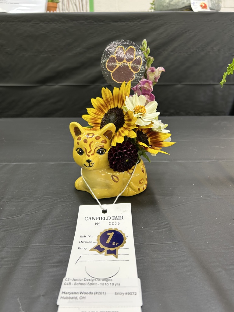 Canfield Fair Leopard