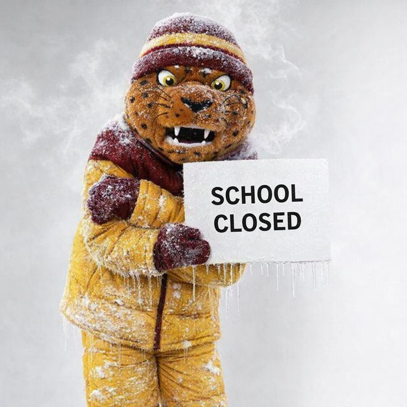 fab77ccb-ede9-4e18-8bfb-29a681d886ea-md