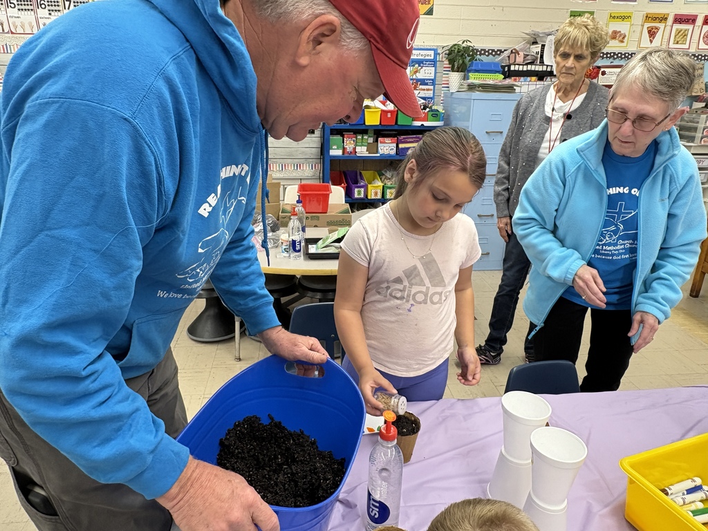 Kindergarten plants