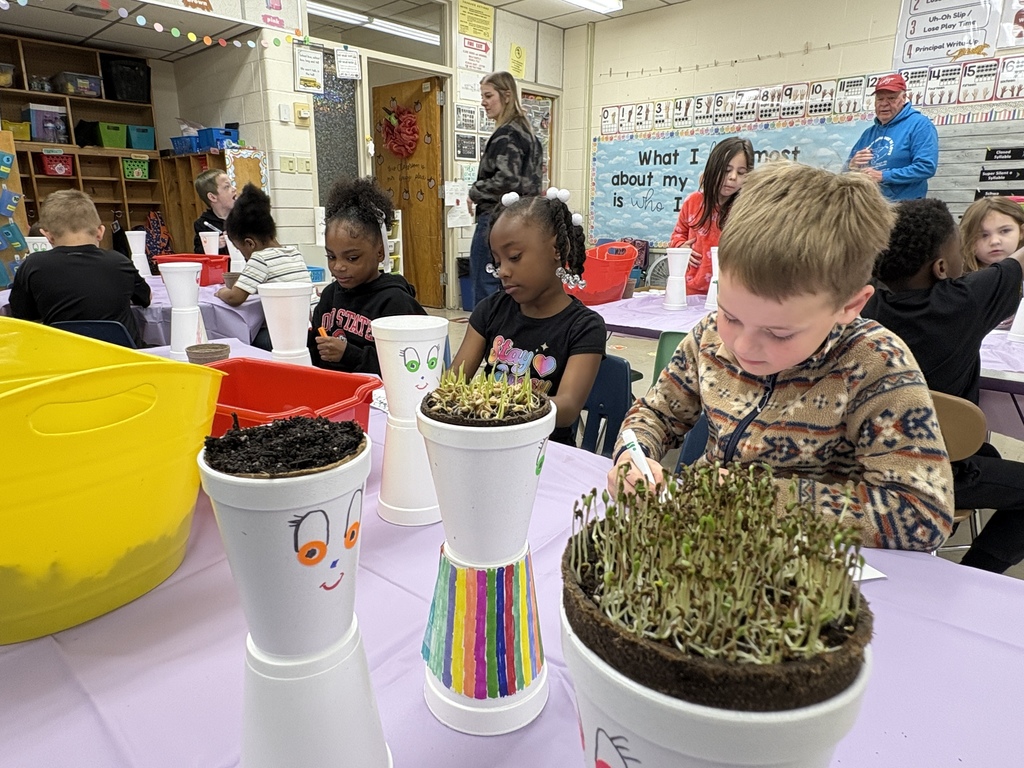 Kindergarten plants