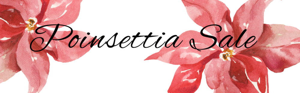 Poinsettia sale
