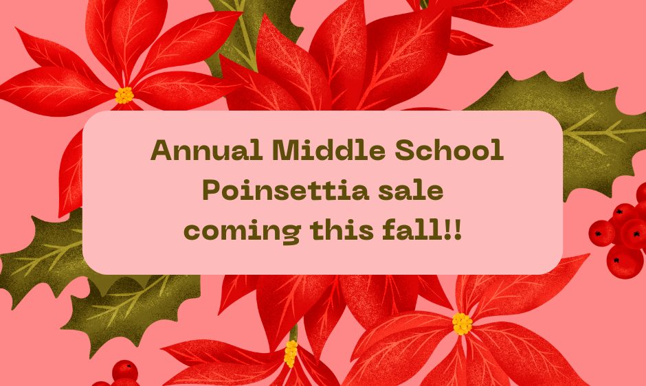 Poinsettia sale