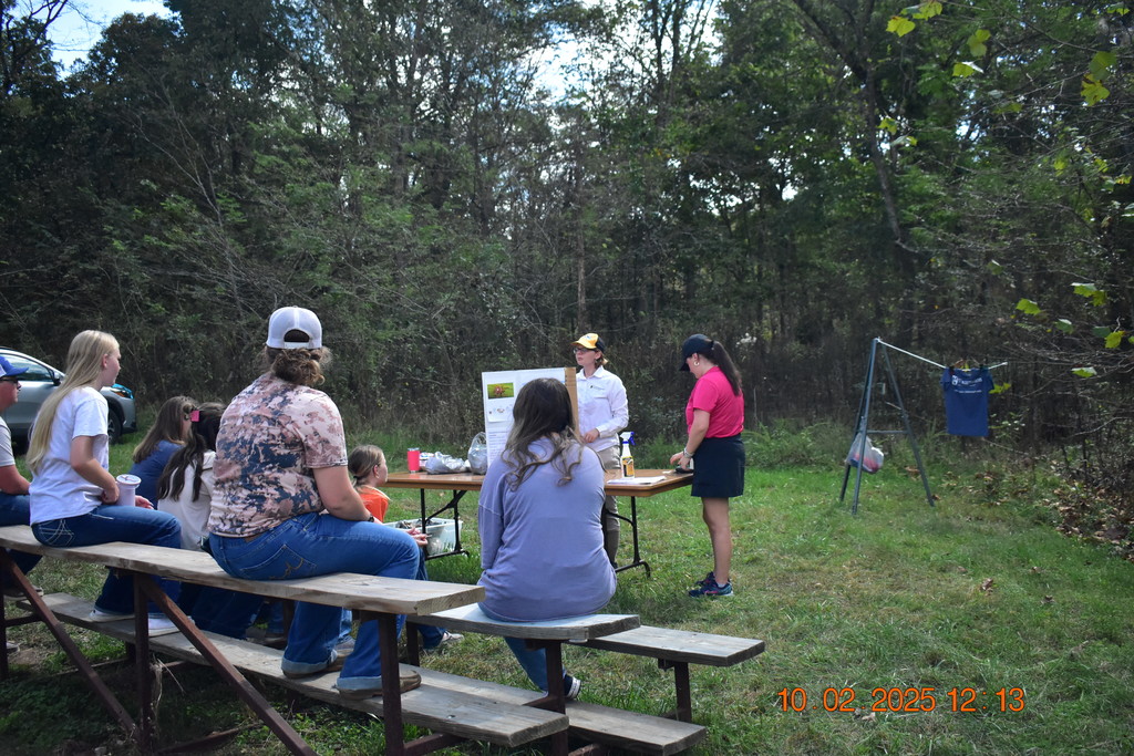 Field Day