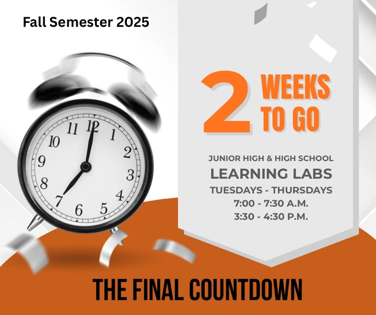 Fall 2025 is quickly drawing to an end.  Learning Labs are available to all students.