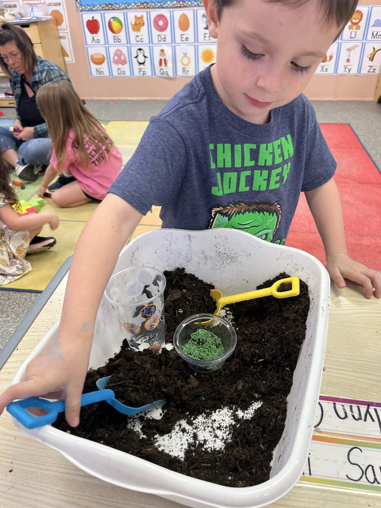 Mrs. Williams’ preschool class got their hands dirty today planting grass! 🌱 The students had so much fun learning about how plants grow while carefully planting their own grass seeds.We can’t wait to watch their grass sprout over the next few days! 