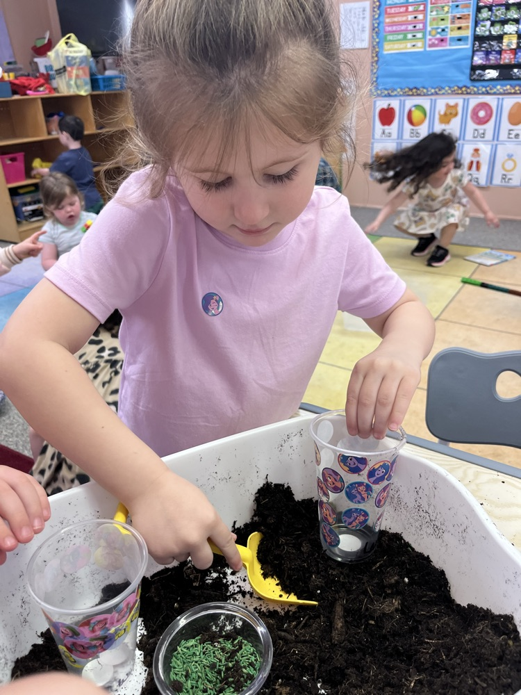 Mrs. Williams’ preschool class got their hands dirty today planting grass! 🌱 The students had so much fun learning about how plants grow while carefully planting their own grass seeds.We can’t wait to watch their grass sprout over the next few days! 
