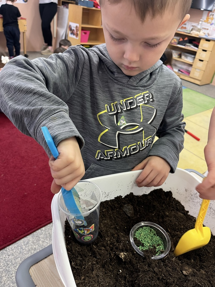 Mrs. Williams’ preschool class got their hands dirty today planting grass! 🌱 The students had so much fun learning about how plants grow while carefully planting their own grass seeds.We can’t wait to watch their grass sprout over the next few days! 