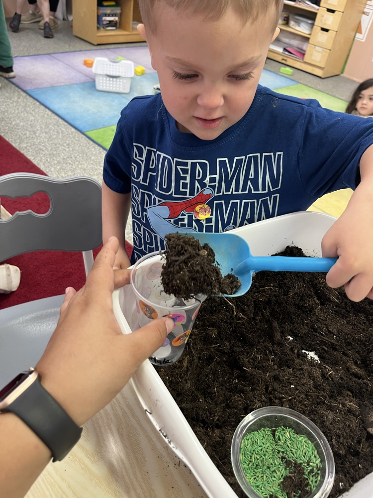 Mrs. Williams’ preschool class got their hands dirty today planting grass! 🌱 The students had so much fun learning about how plants grow while carefully planting their own grass seeds.We can’t wait to watch their grass sprout over the next few days! 