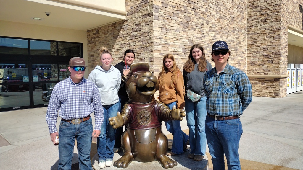 Buc-ee's