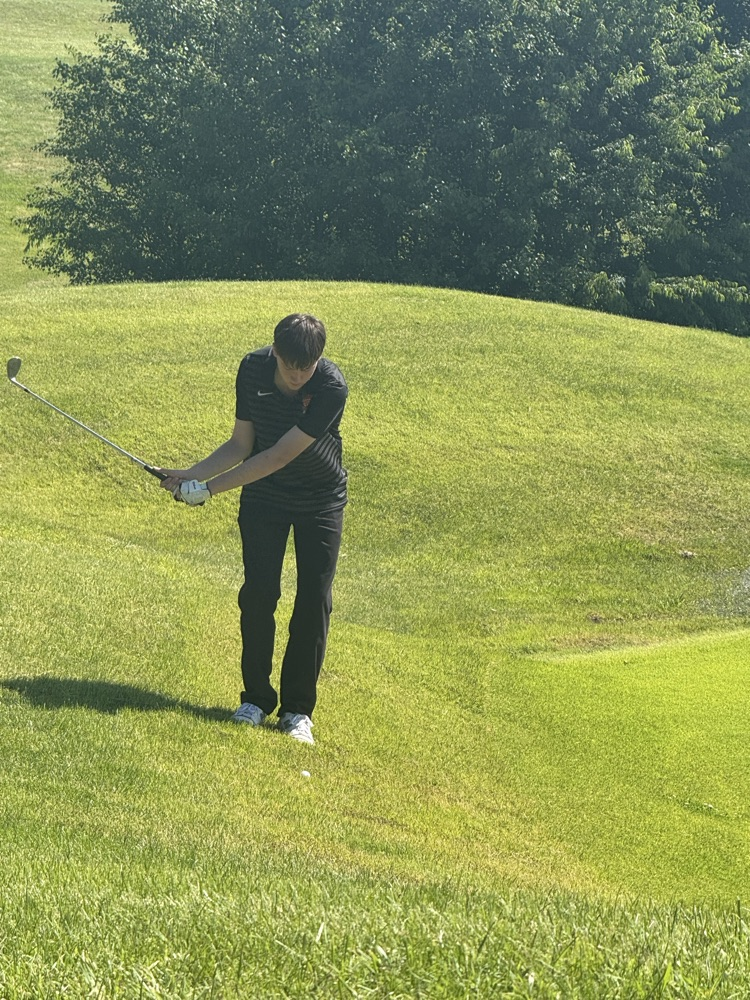 Will with a chip to get it close