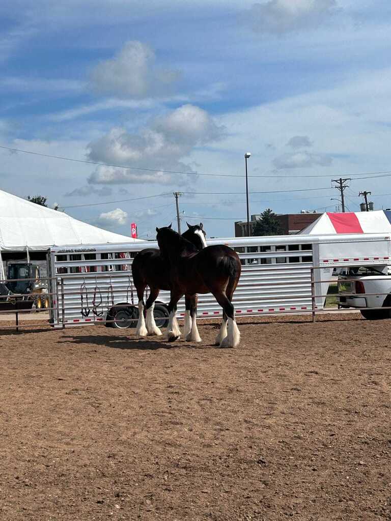 State Fair
