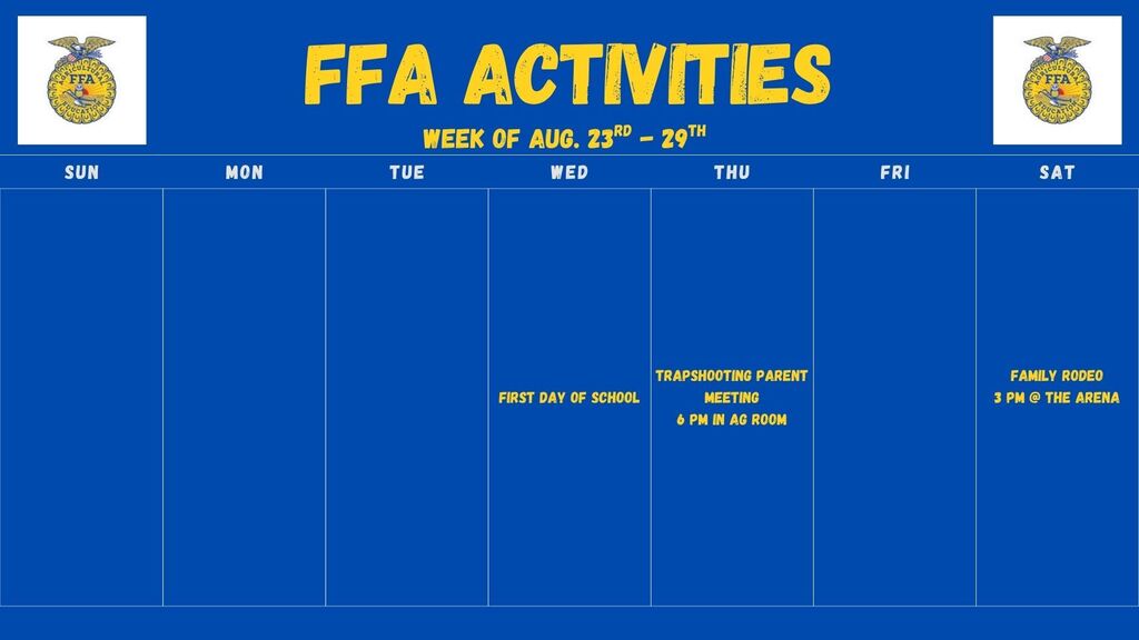 Activities