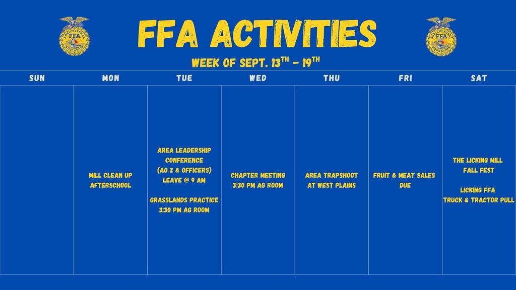 Activities