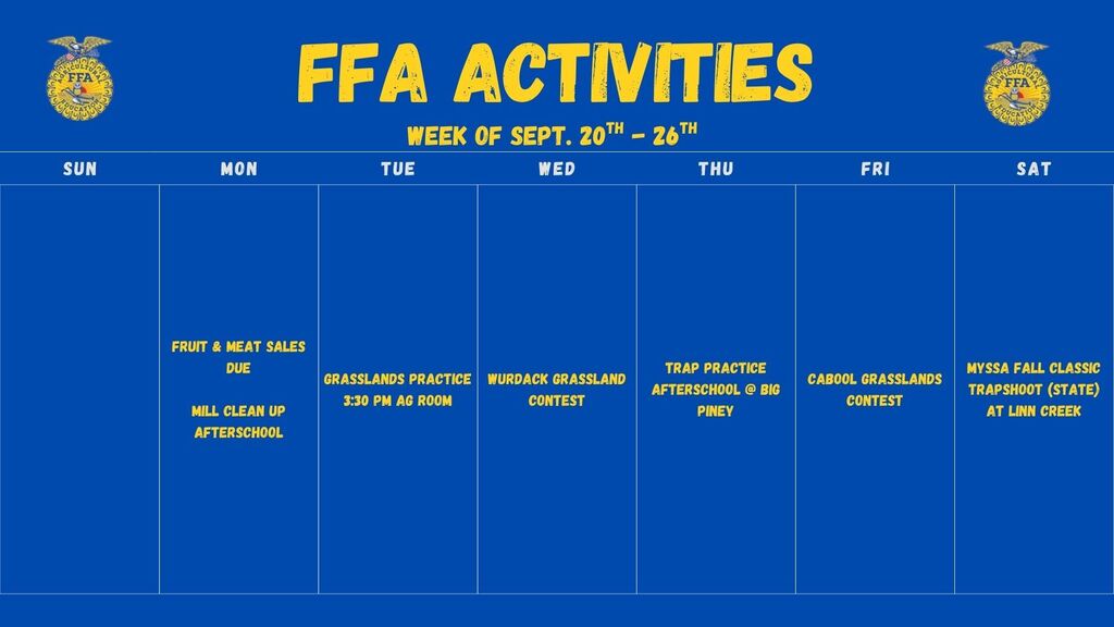 Activities