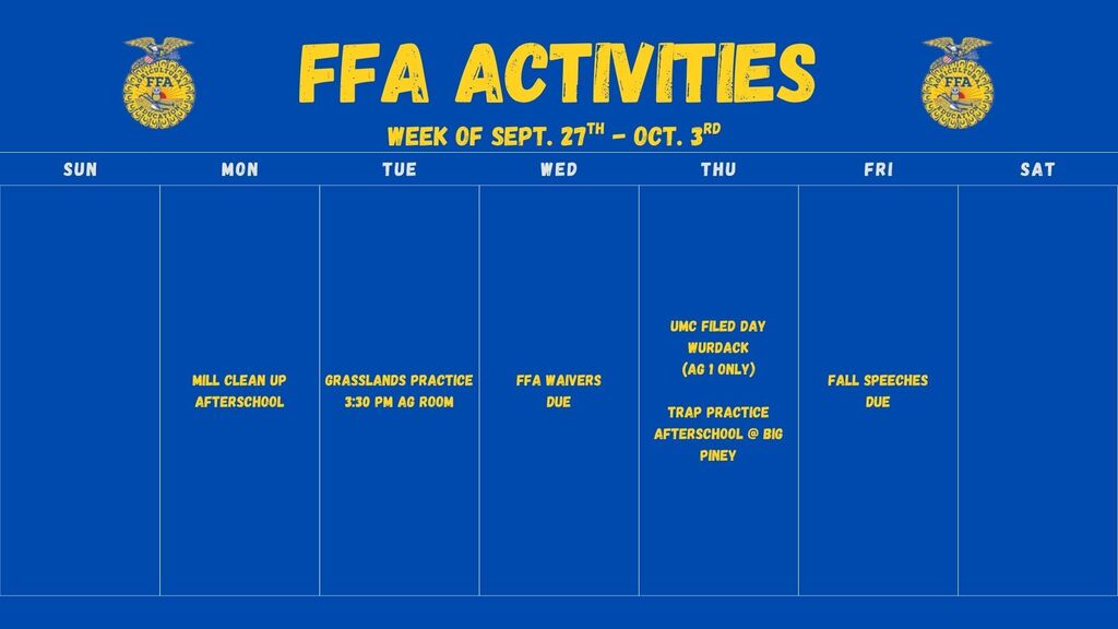 Activities