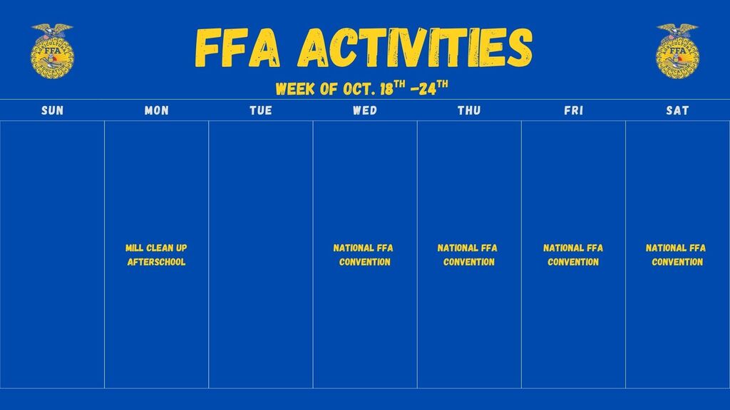 Activities
