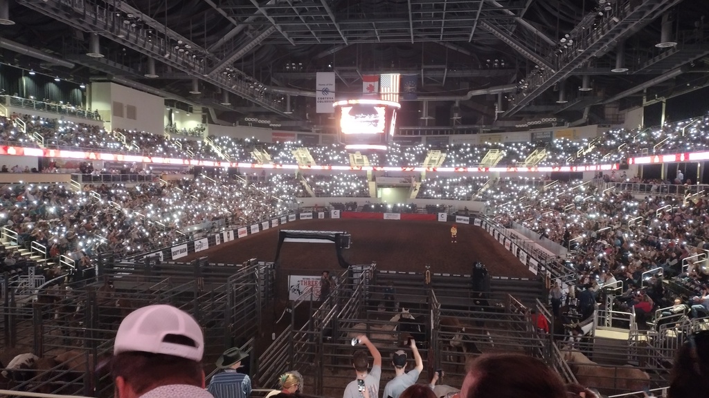 Rodeo